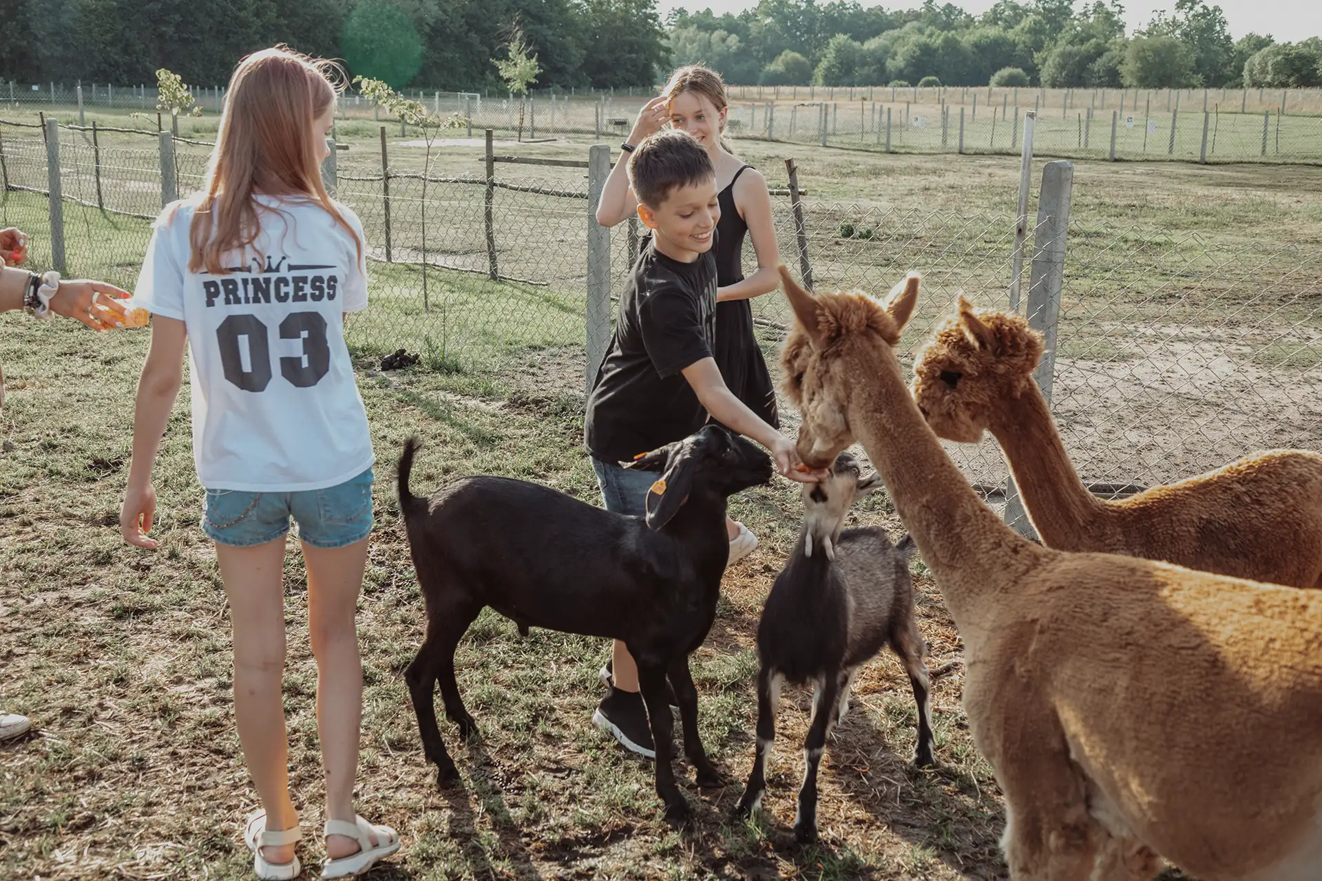 Wycieczki szkolne na Farmę Goławice i do Mini Zoo 50 km od Warszawy