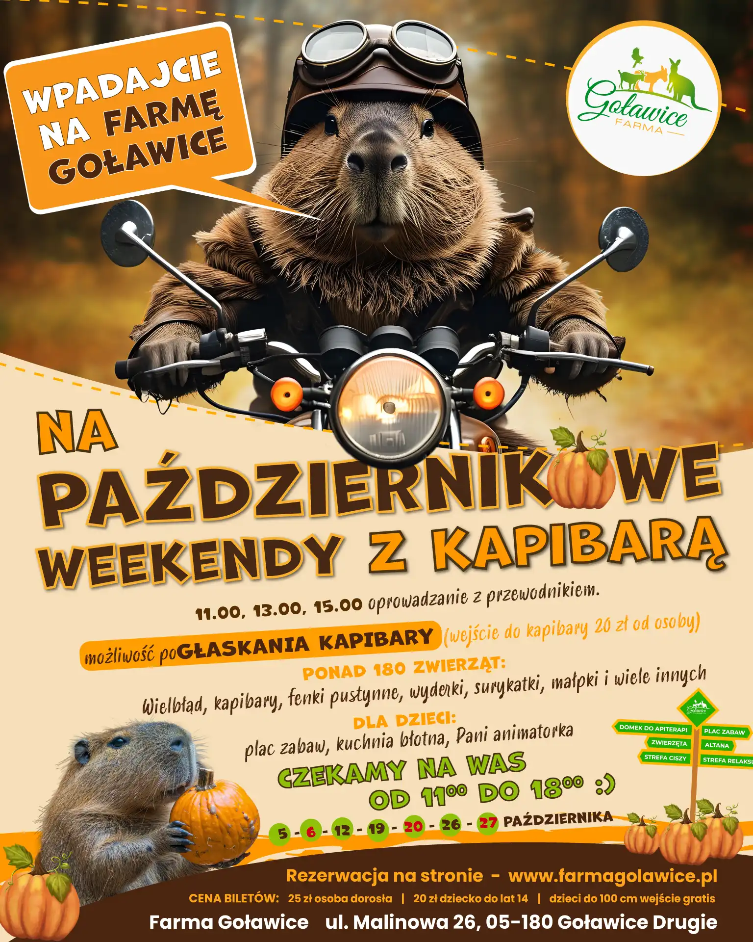 Październikowe weekendy z kapibarą na Farmie Goławice